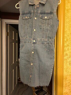 Denim Sleeveless utility shirt Dress